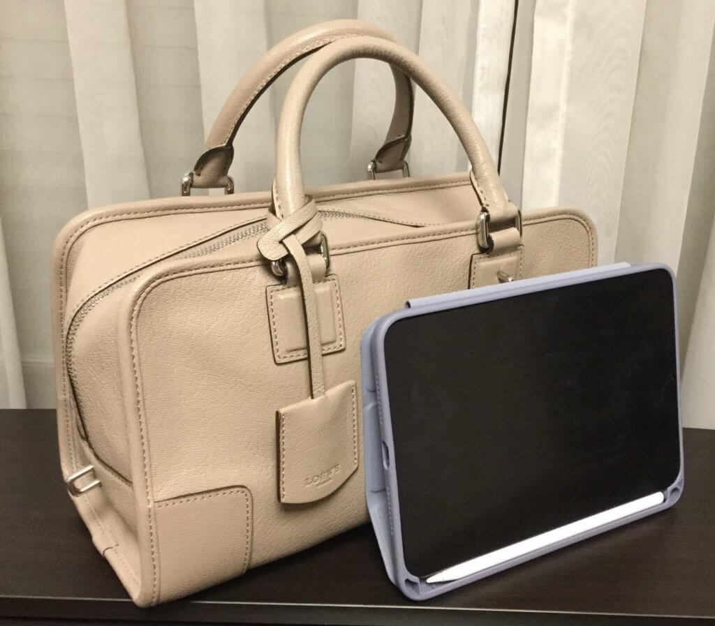 LOEWE アマソナ　クリアバッグ